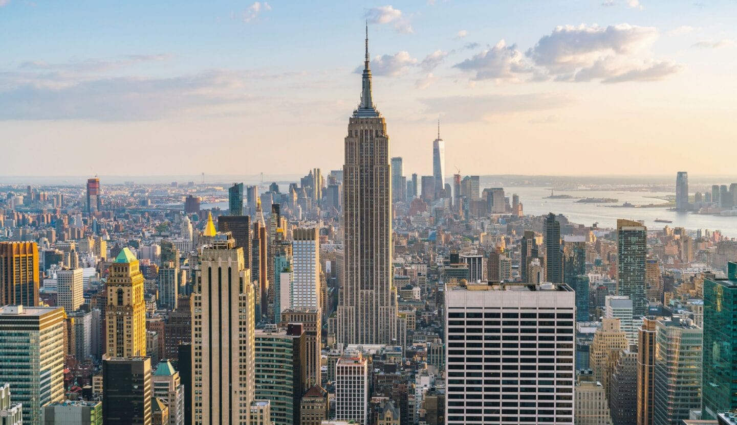 New York Swoop header